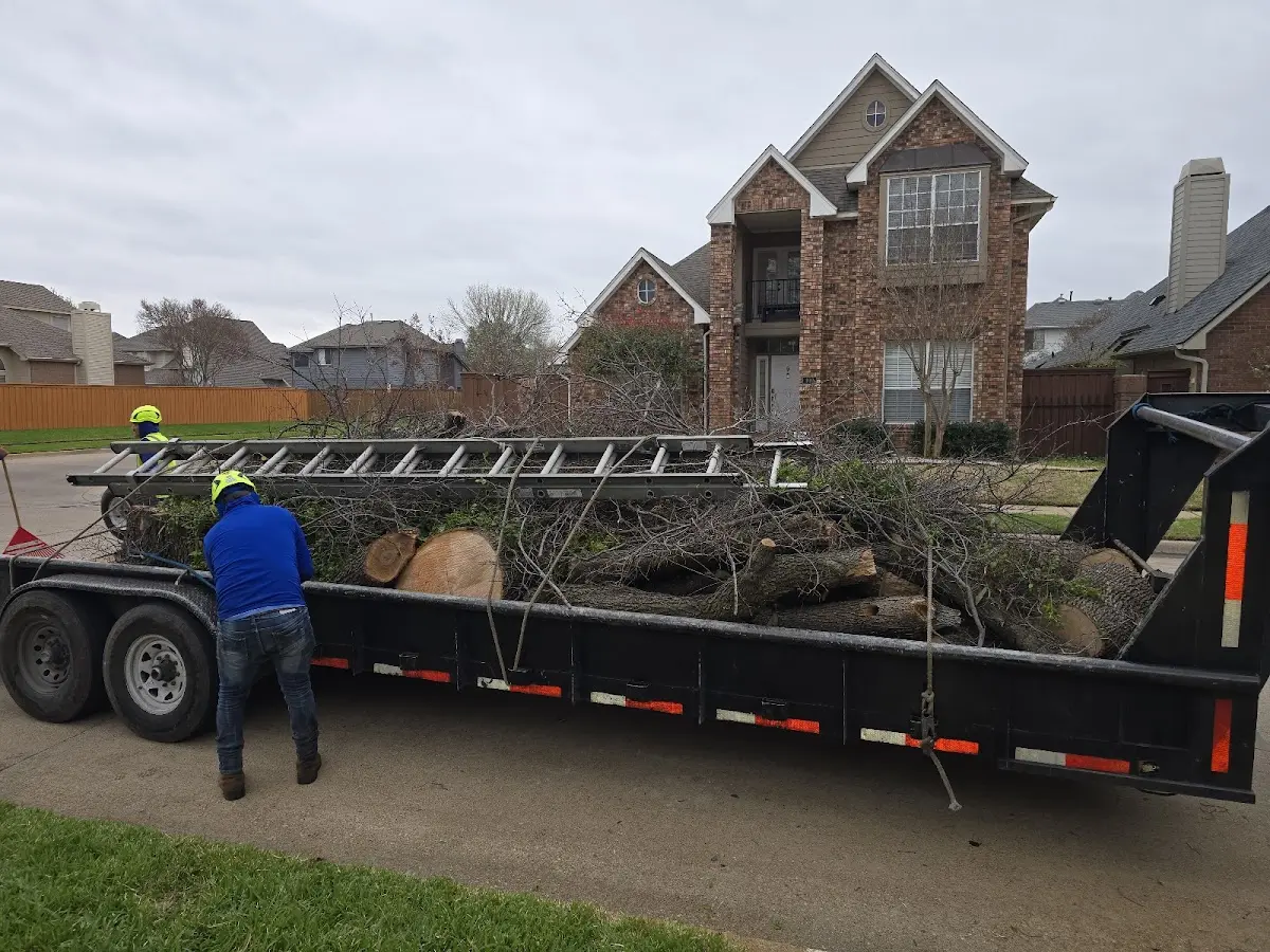 Expert Lot Clearing with proper safety equipment in Edmeston